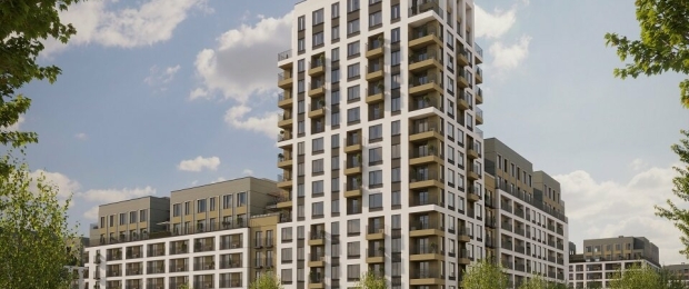 Брусника в Академическом