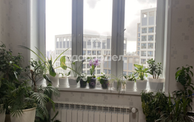 Екатеринбург, ул. Библиотечная,43