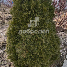 Дом | 20.00 м² 161