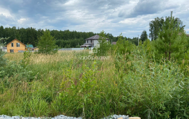 Крутой, 