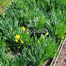 Участок | 60.00 сот. 80