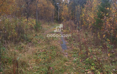 Новоуткинск, 