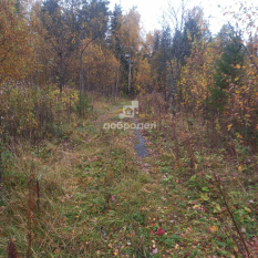 Участок 01