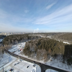 1-к квартира | 18.60 м² | 23 - 25 эт. 41