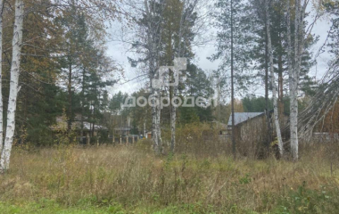 дп Заповедник, кв-л Кедровка,13