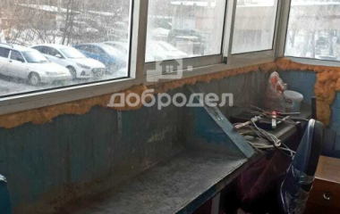 Екатеринбург, ул. Новгородцевой,35