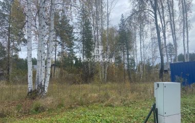 дп Заповедник, кв-л Кедровка,12