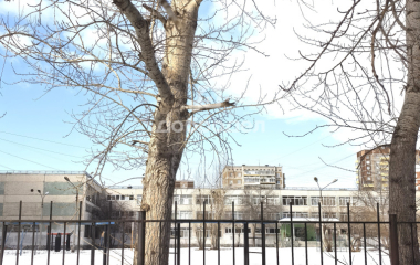 Екатеринбург, ул. Новгородцевой,21