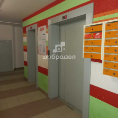 1-к квартира | 25.00 м² | 10 - 12 эт. 81