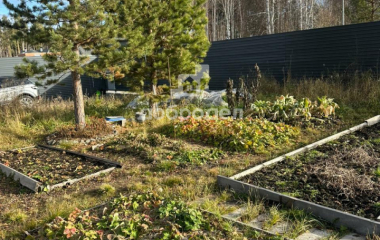 Габиевский, р-н Сысертский,КП «Заповедник», парк «Сокол»