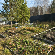 Дом | 0.00 м² 11