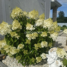 Коттедж | 180.00 м² 150