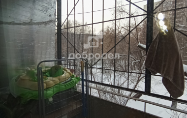 Екатеринбург, ул. Посадская,54