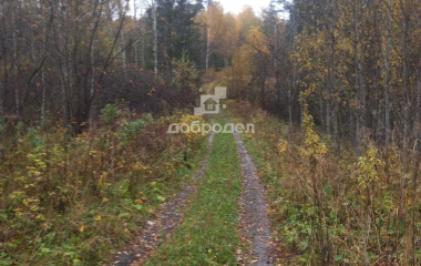 Новоуткинск, 