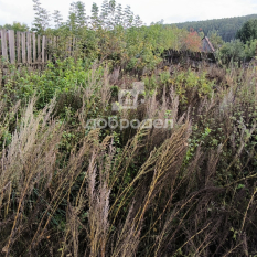 Участок 31