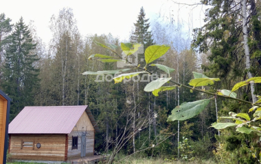 Калиново, ул. 40 лет Октября,46