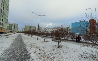 Екатеринбург, ул. Краснолесья,117