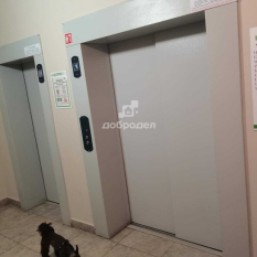 3-к квартира | 80.60 м² | 11 - 19 эт. 80