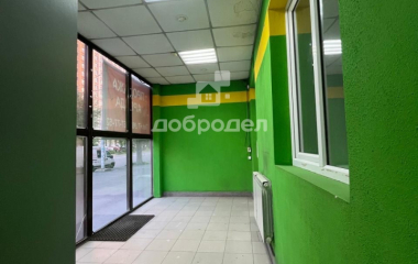 Екатеринбург, ул. Щорса,62