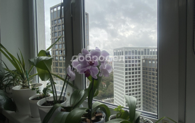 Екатеринбург, ул. Библиотечная,43