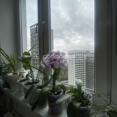 1-к квартира | 44.50 м² | 23 - 25 эт. 01
