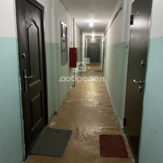 Комната | 48.00 м² | 3 - 5 эт. 51