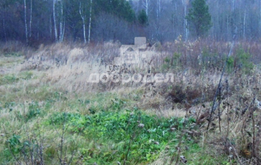 Березовский, п. Лосиный, К/с №21"Дружба"