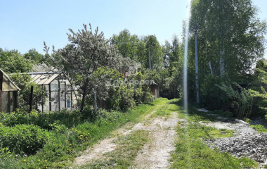 Екатеринбург, снт Березовая Роща 2
