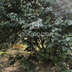 Участок 80