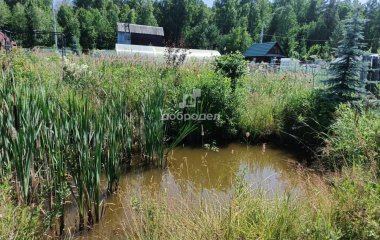 Березовский, тер. СПО №127 "Дачник"