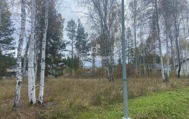 дп Заповедник, кв-л Кедровка,12