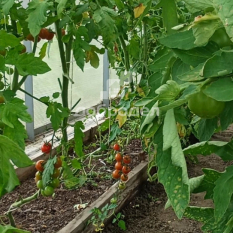 Участок | 54.00 сот. 140