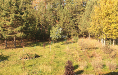 Кашино, ул. Уральская,19