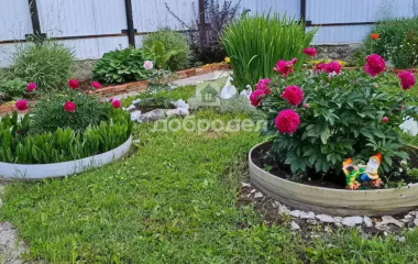 Екатеринбург, снт. Дружба-10 (кад.кв-л 0509064),850