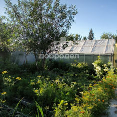 Дом | 30.00 м² 61