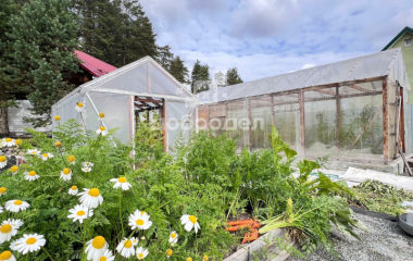 Старые Решеты, ул. Пушкина,1А