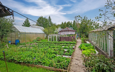 Екатеринбург, ул. Источная,СНТ Восток 4