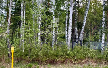 Екатеринбург, кп. Заповедник, п. Габиевский, Лисий лес,18