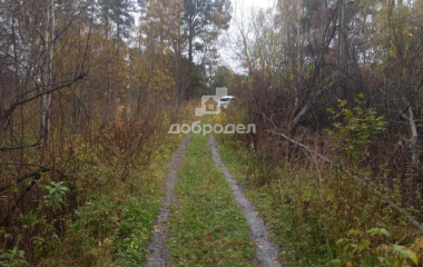 Новоуткинск, 