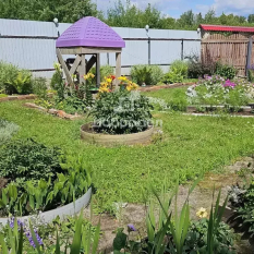 Дом | 0.00 м² 241