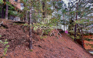 Старые Решеты, ул. Пушкина,1А