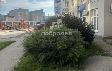 Екатеринбург, ул. Чкалова,124