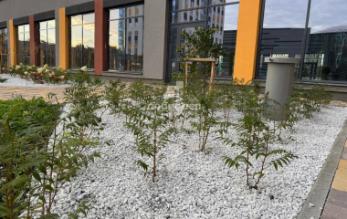 Екатеринбург, пр-кт. Космонавтов,108/3