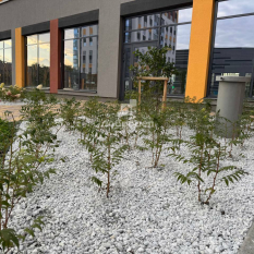 2-к квартира | 66.00 м² | 22 - 25 эт. 21