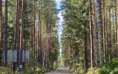 Калиново, ул. 40 лет Октября,46