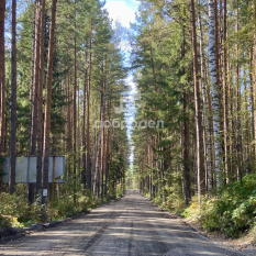 Участок 41