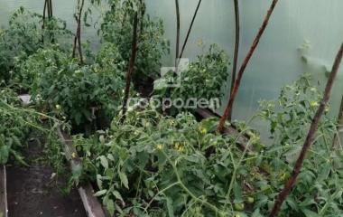 Курорт-Самоцвет, ул. Центральная