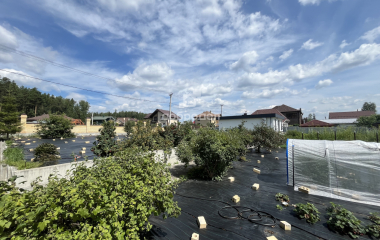 Среднеуральск, ДПК Черёмушки, Прохладная улица, 31