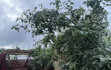 Екатеринбург,  Чусовской тракт , 12 км  СТ Гранит