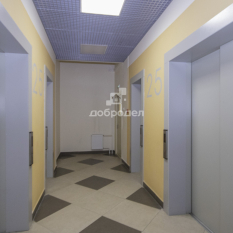 3-к квартира | 81.30 м² | 25 - 25 эт. 81